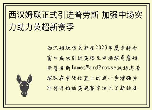 西汉姆联正式引进普劳斯 加强中场实力助力英超新赛季 西汉姆联正式引进普劳斯 加强中场实力助力英超新赛季